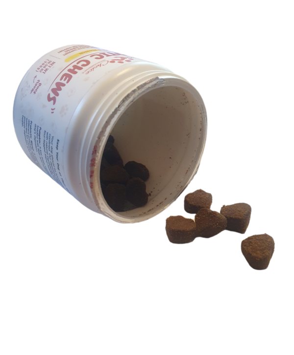 Probiotica - Afbeelding 2